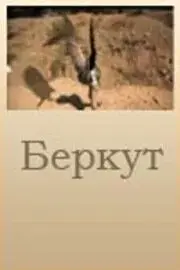Беркут