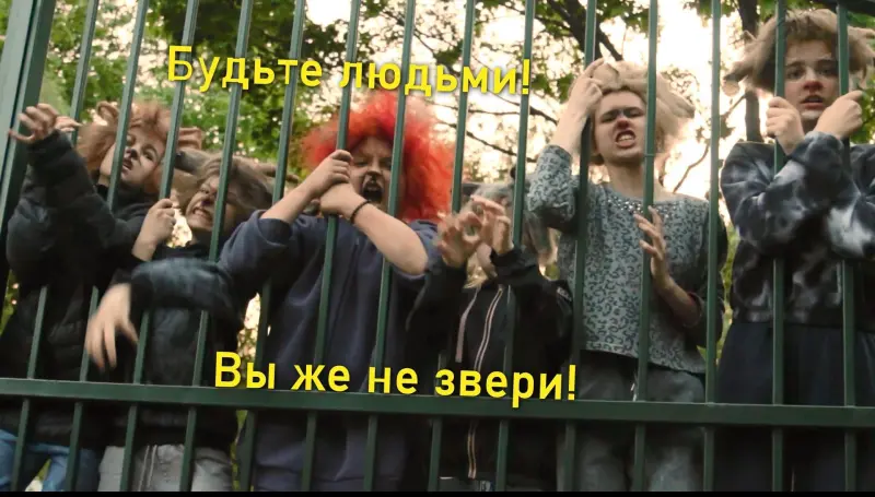 Будьте людьми! Вы же не звери!
