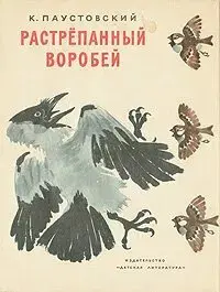 Растрёпанный воробей